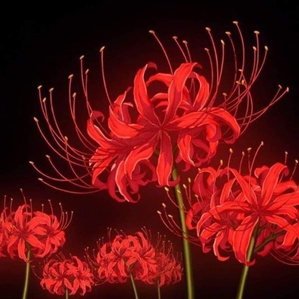 Eseya 🌺 profile image