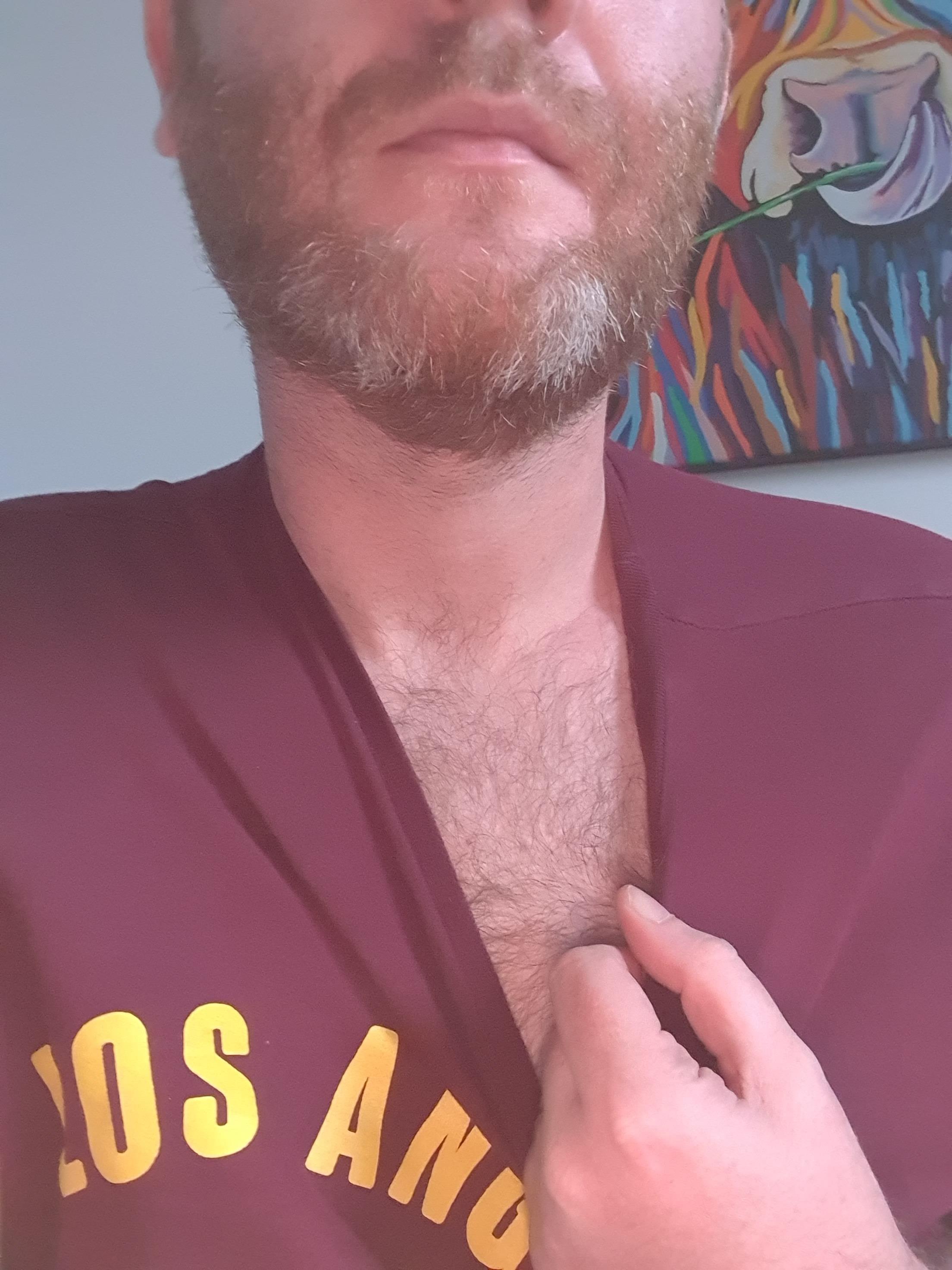 Scottish Bear profile image