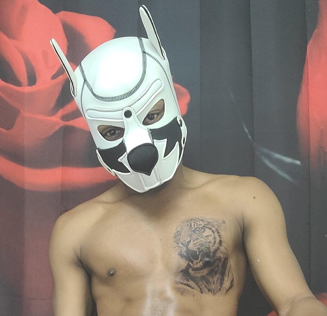 Zavy profile image