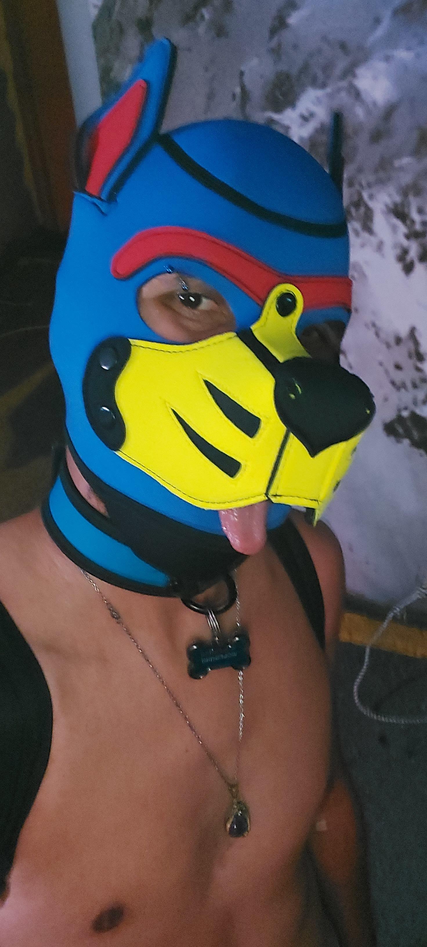 Wolfgang Lombard The Puppy profile image