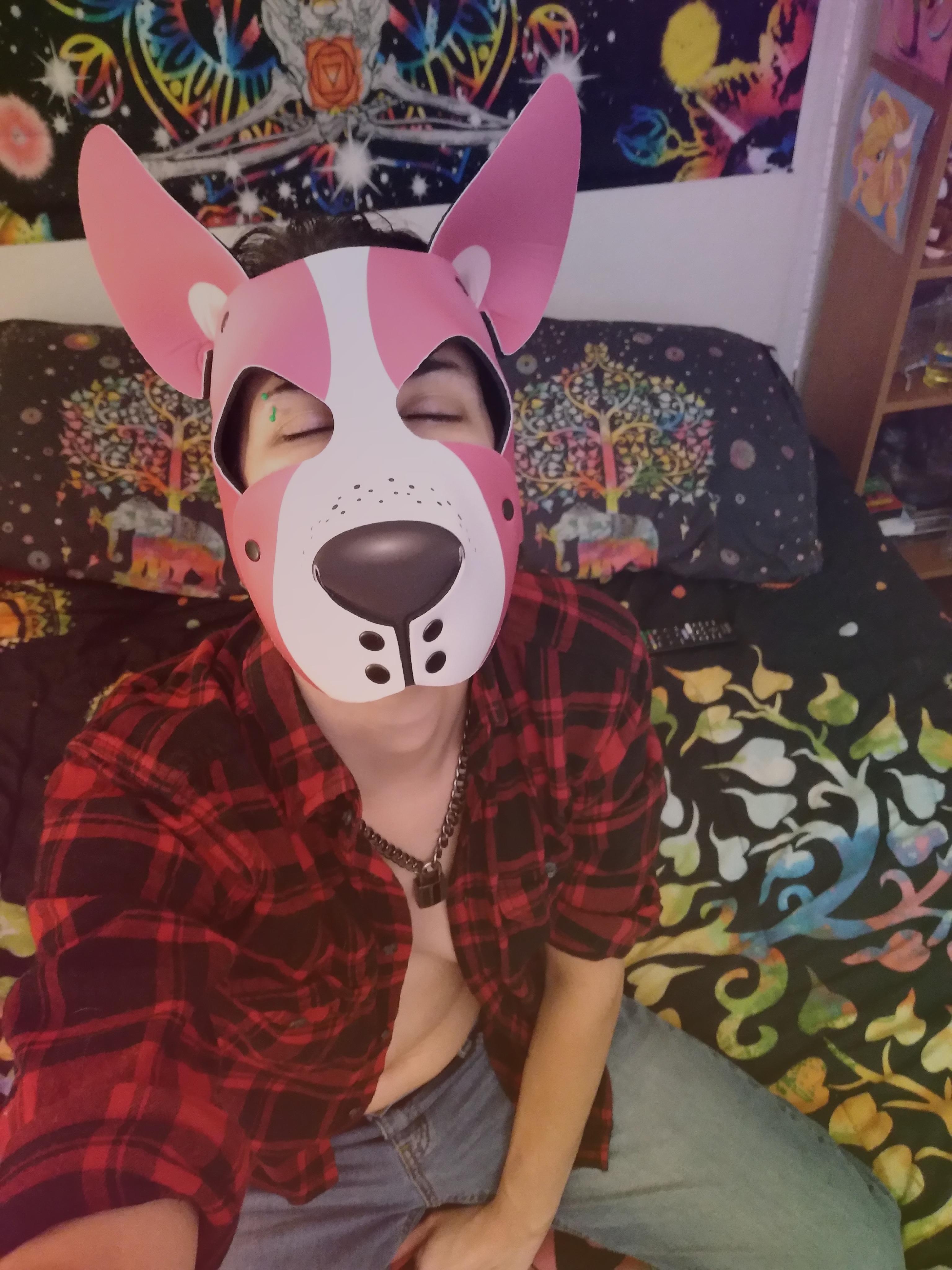 Pain Puppy profile image