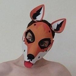 🏴󠁧󠁢󠁷󠁬󠁳󠁿Fox Boy 10K🏴󠁧󠁢󠁷󠁬󠁳󠁿 profile image