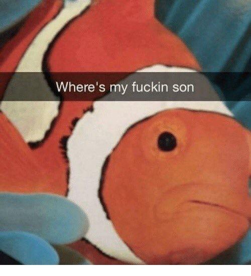 Where’s nemo profile image