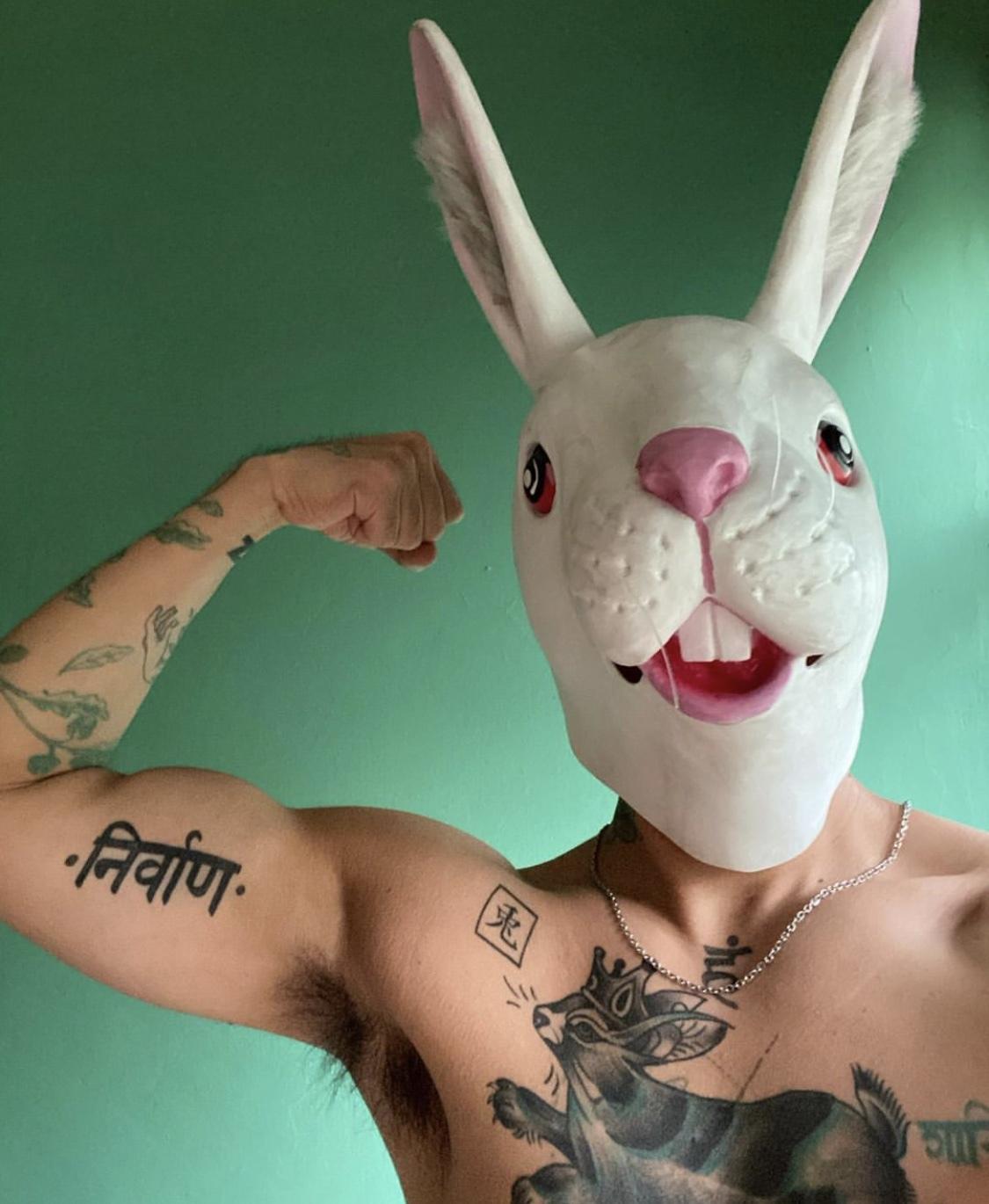 El Conejo Rey 🐇👑 profile image