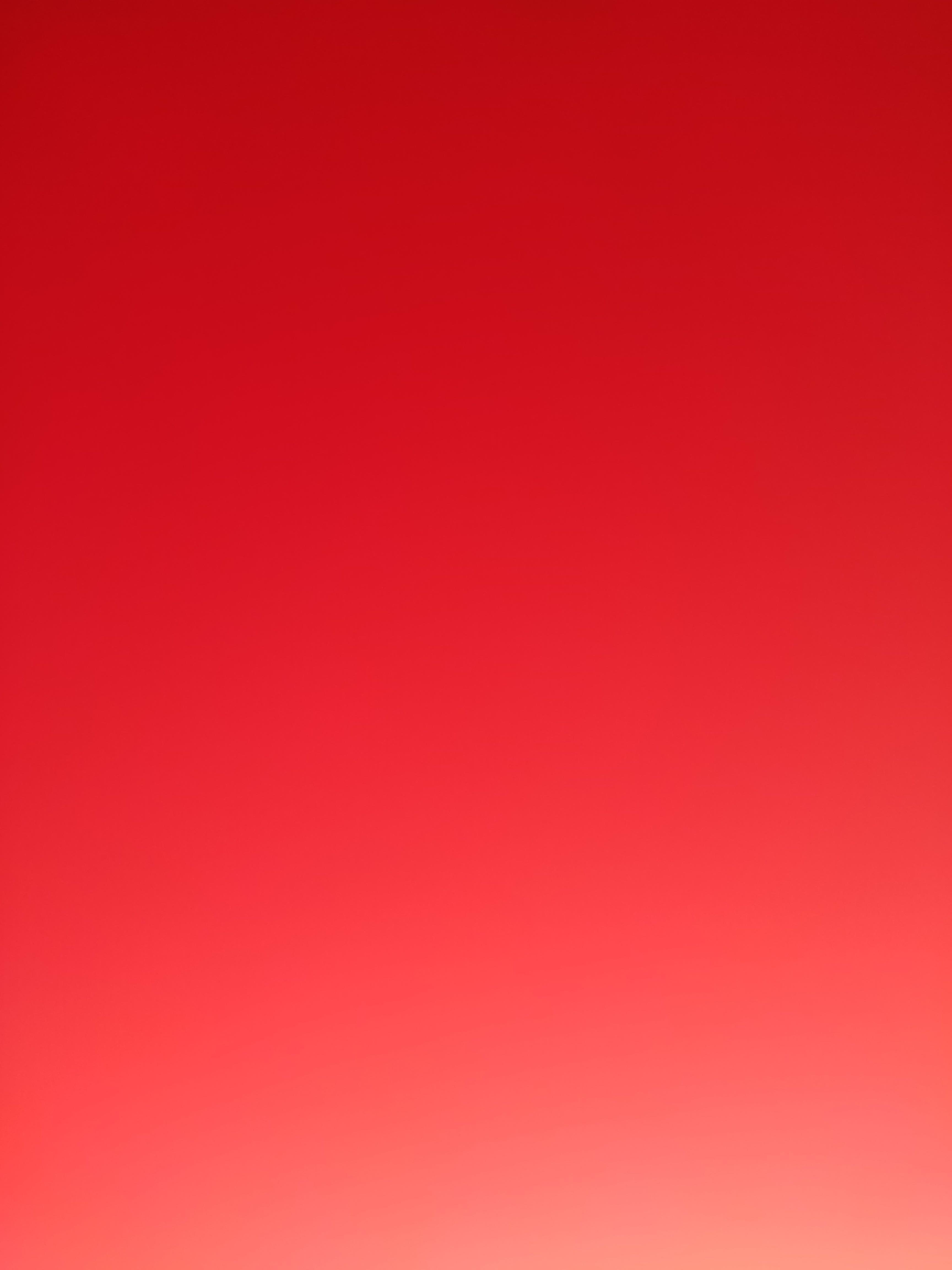 Foxy profile image