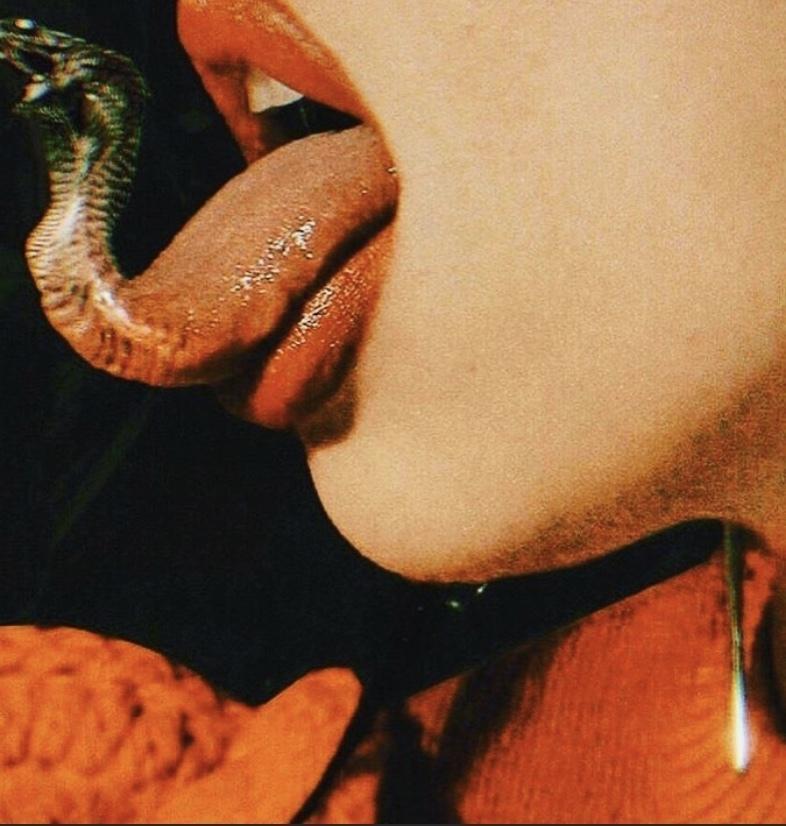 Venus profile image