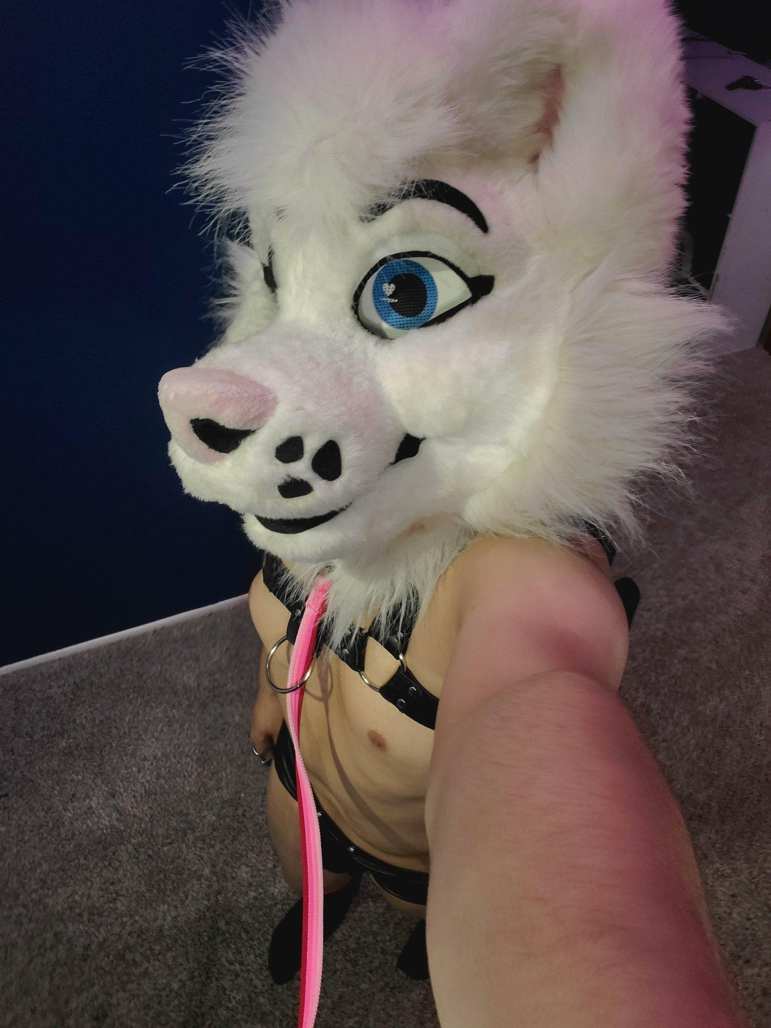 Whoreance profile image