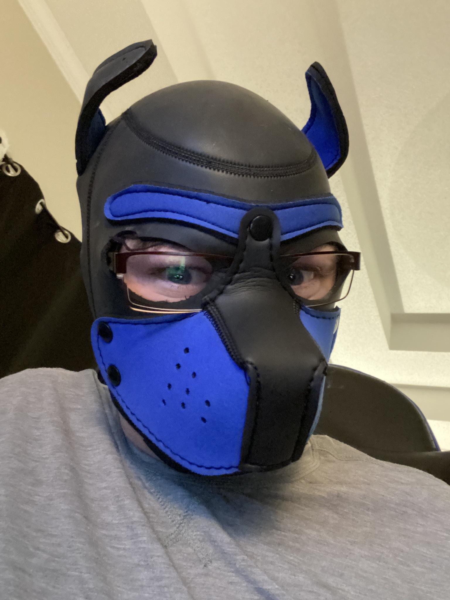 Rhys profile image