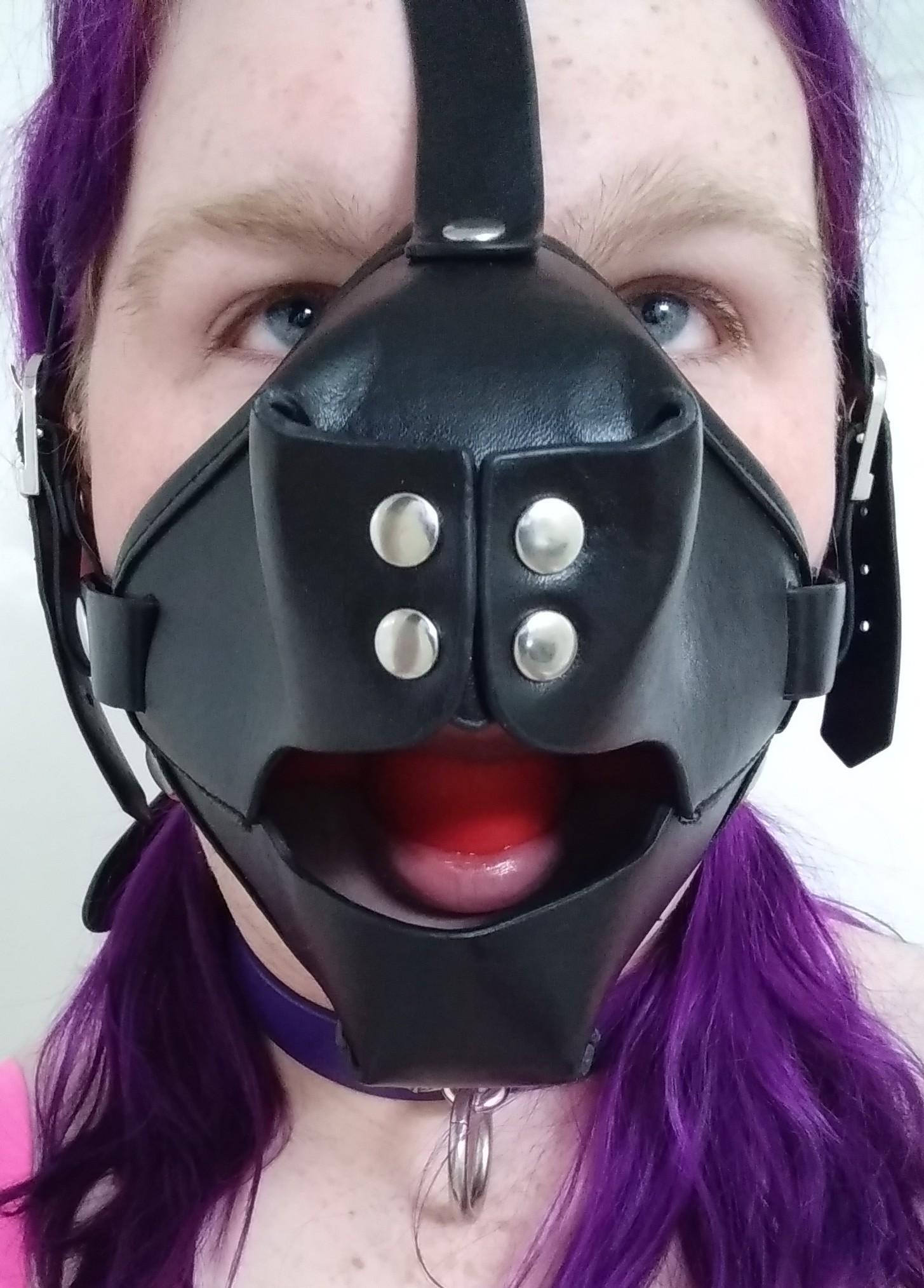 Pup Freya profile image