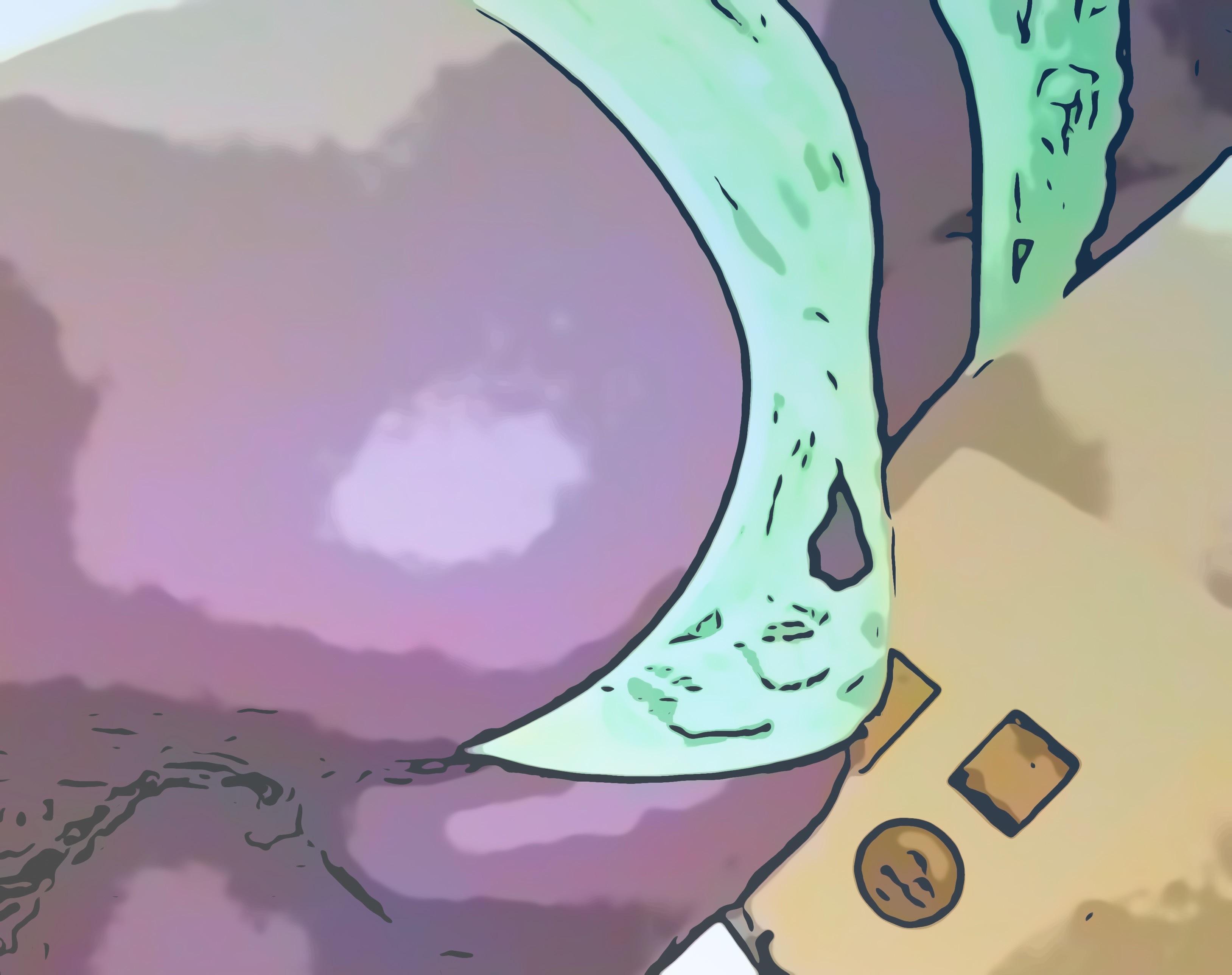 RAIN profile image
