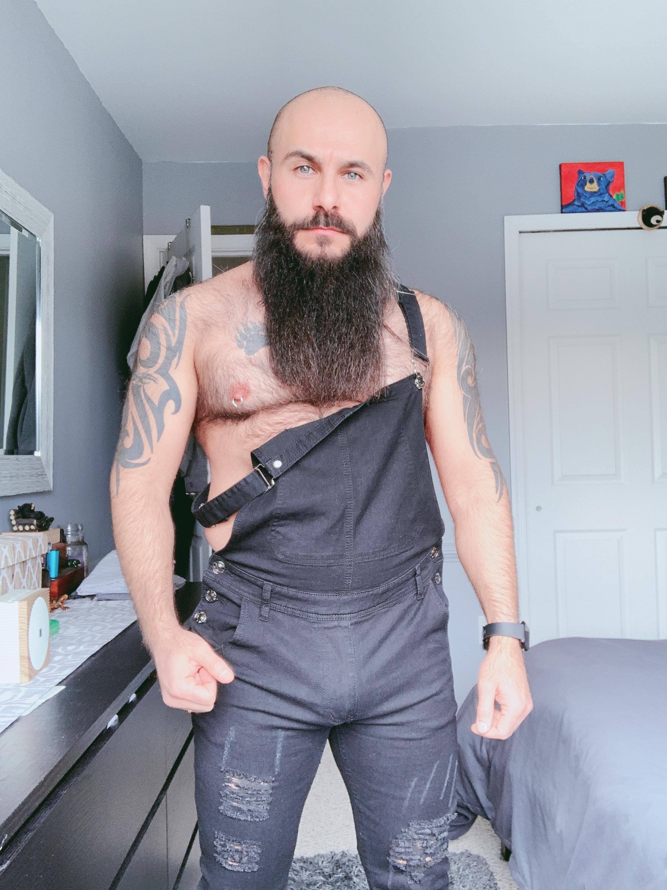 The Bearded Bear Man profile image
