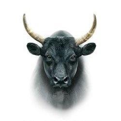 Nate Brown🐃🍆 profile image
