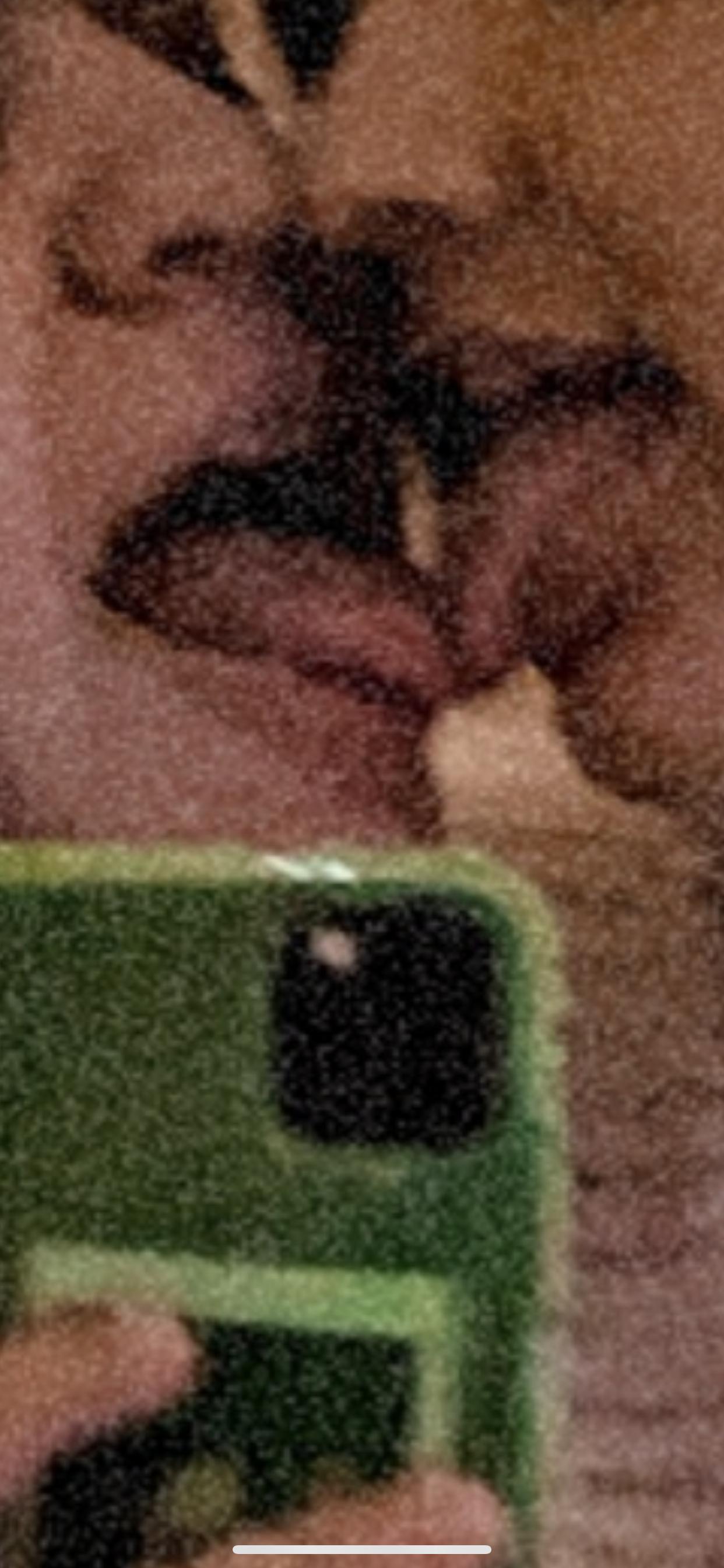 P+C profile image