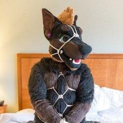 Daddy Dober ฅ^•ﻌ•^ฅ profile image