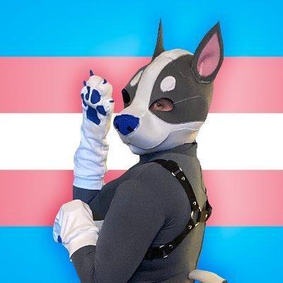 DonutPupper profile image