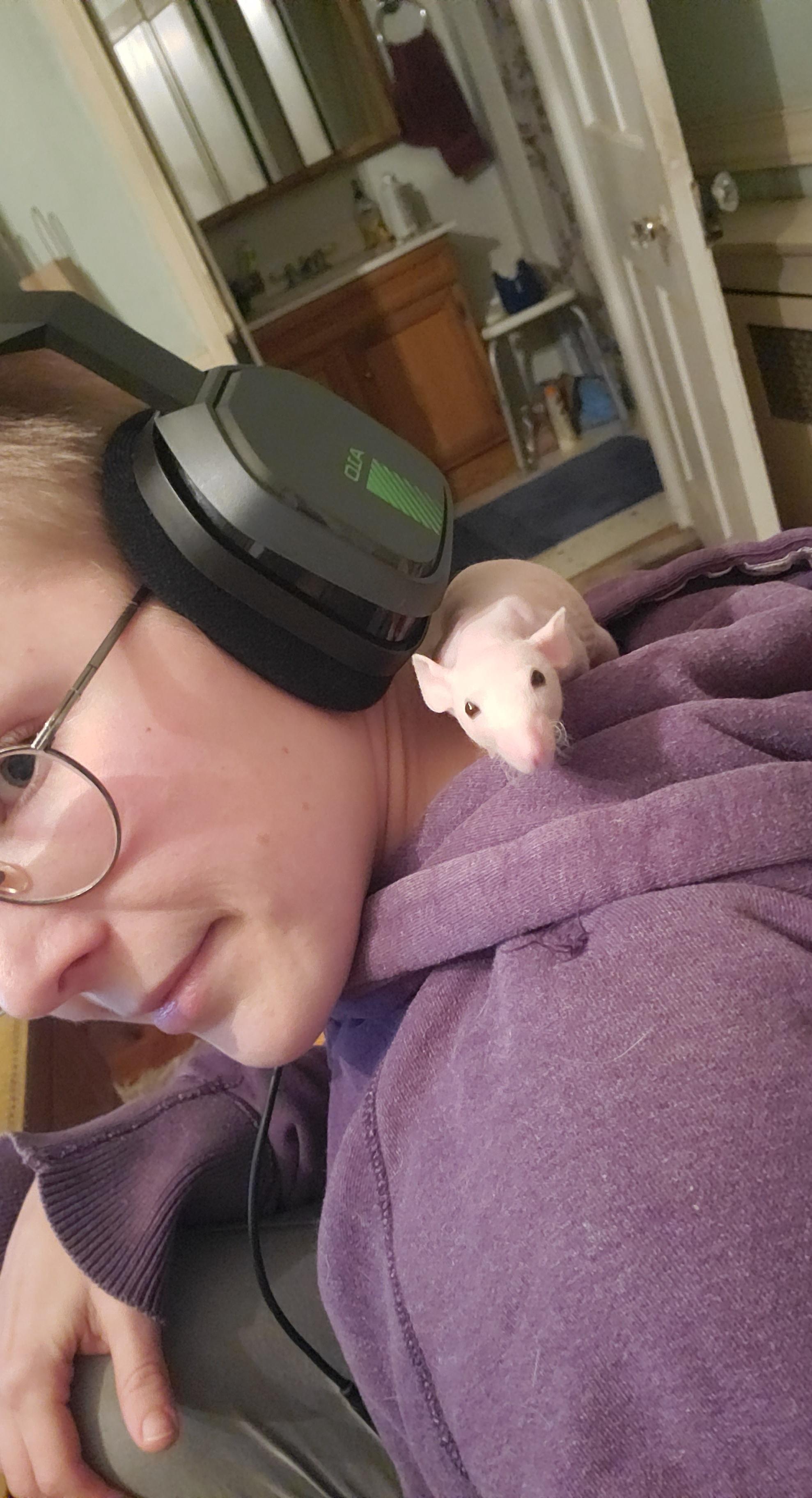 Rat Queen profile image