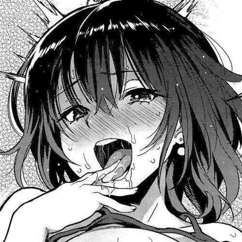 Meli Nova profile image