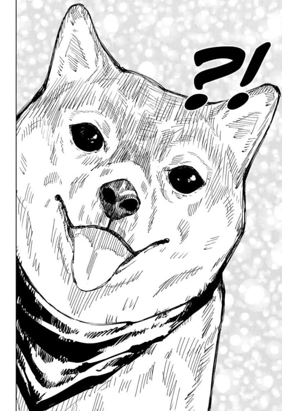 al profile image
